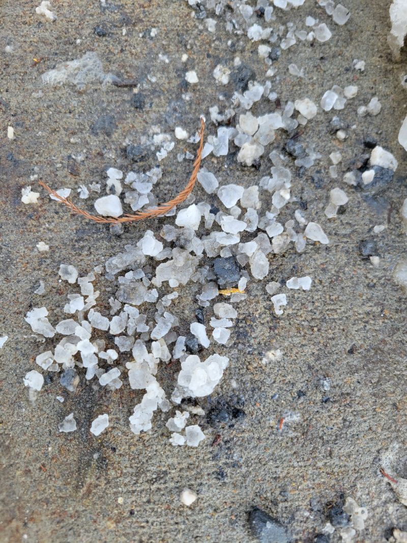 rock salt residue on a sidewalk 