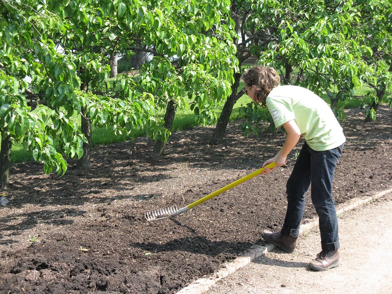 raking_the_soil