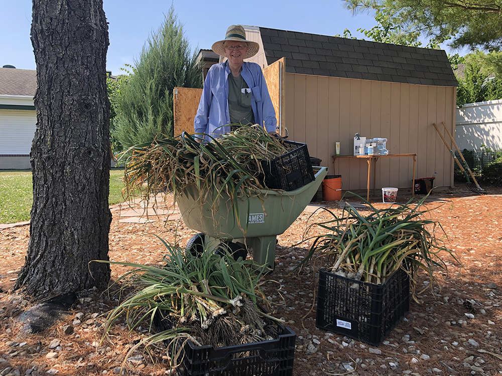 Garlic haul