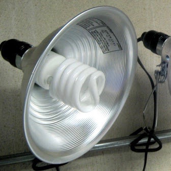 CFLs benefit from use with a reflector to focus the light on plants.