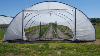 A three season tunnel 