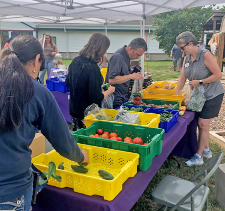 pop-up market 