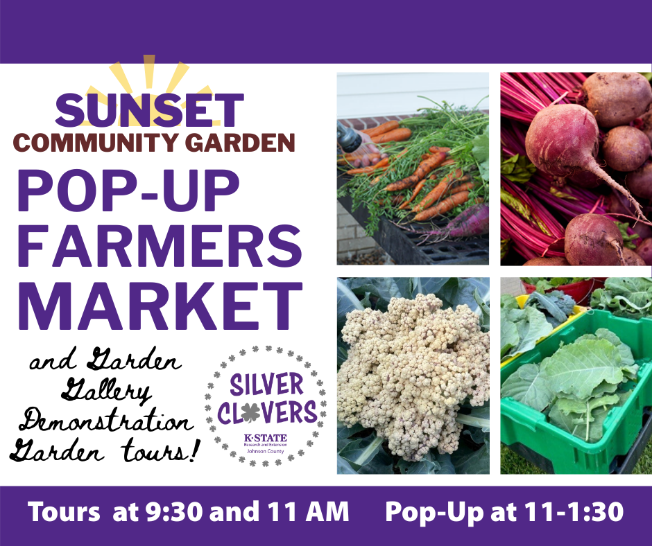 Sunset Pop-Up Market with Tours graphic