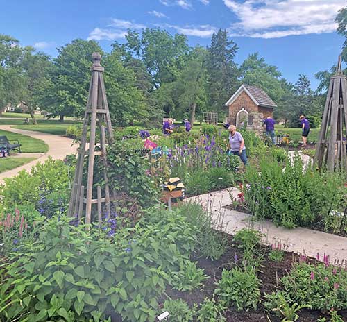 garden photo