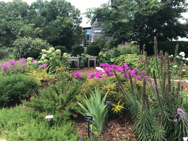 Cottage_Garden