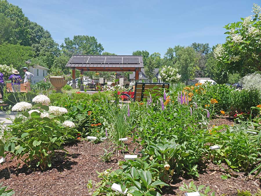 garden photo
