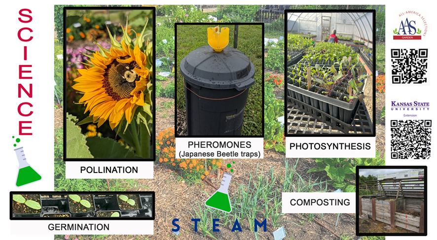 STEAM science graphic 