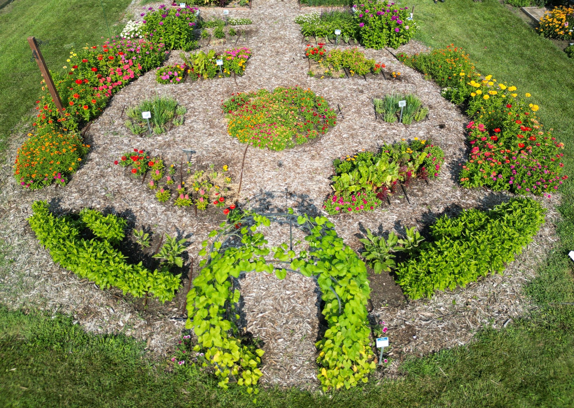 overhead view of AAS garden