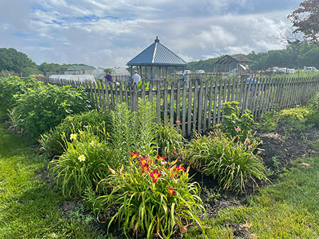 poll garden