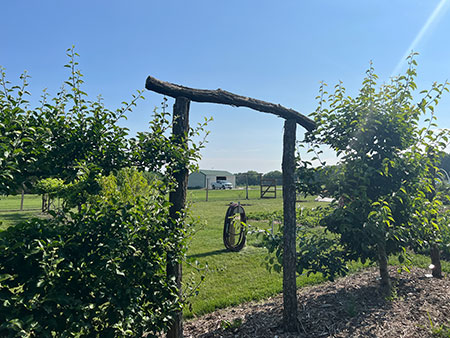 orchard