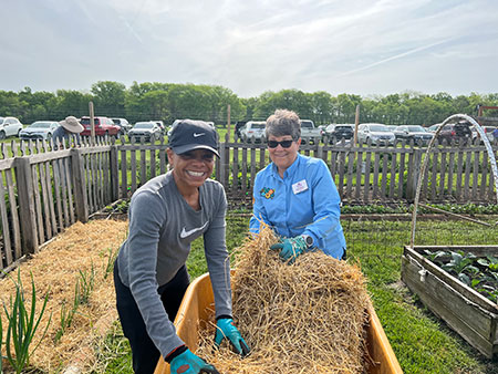 strawbale