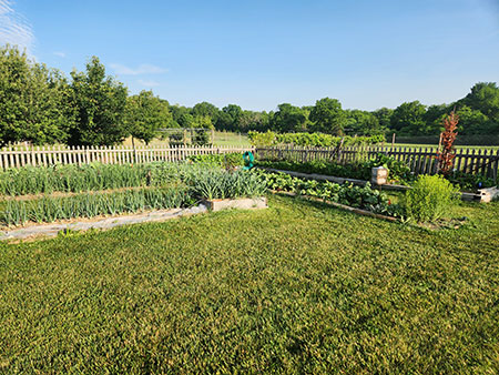 veggie garden
