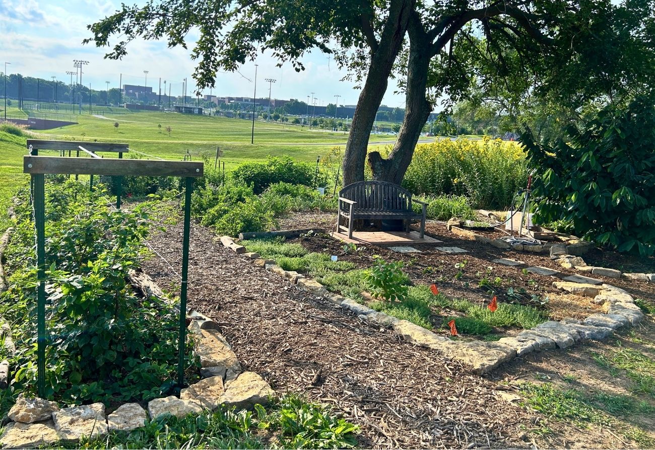 photo of a guild at the food forest