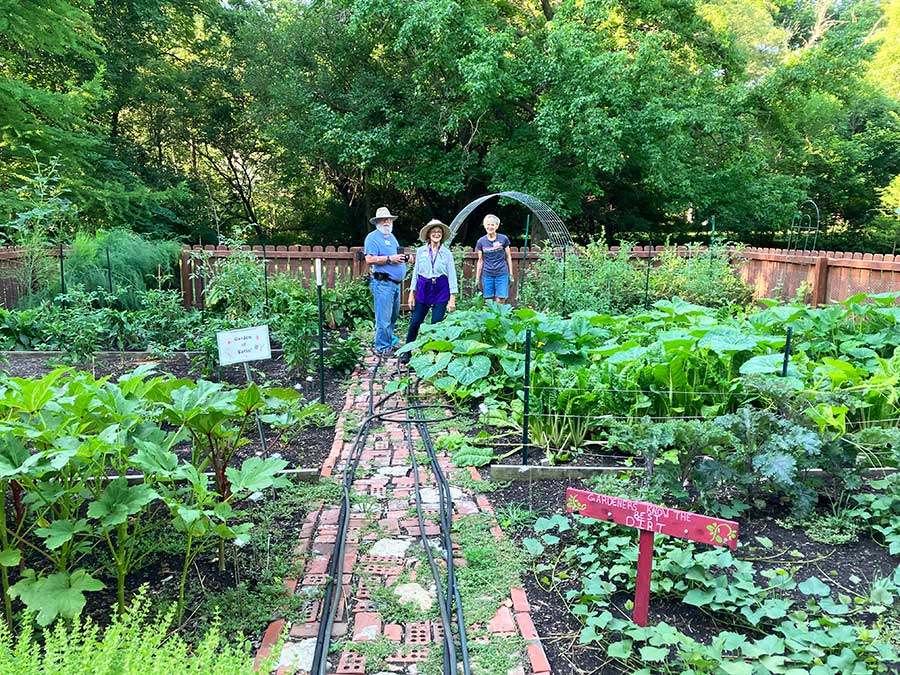 garden