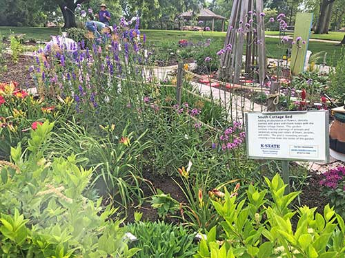 garden bed photo