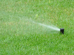 Irrigation sprinkler