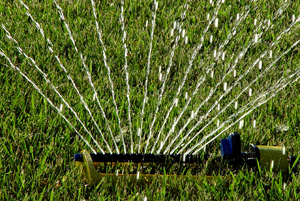 Lawn sprinkler
