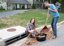 Rake leaves out of the gutter