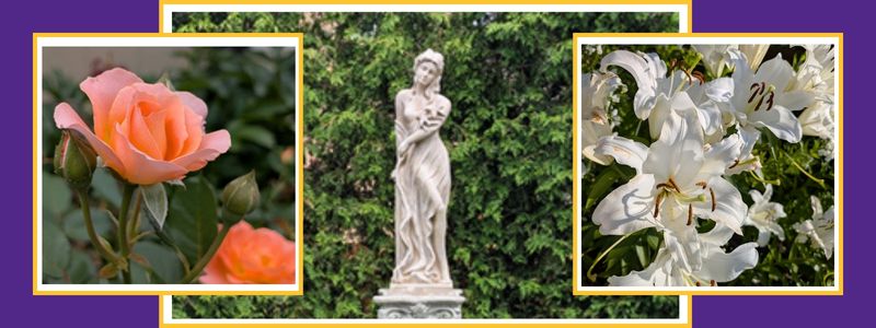 Schelnhals Garden PGT 2026