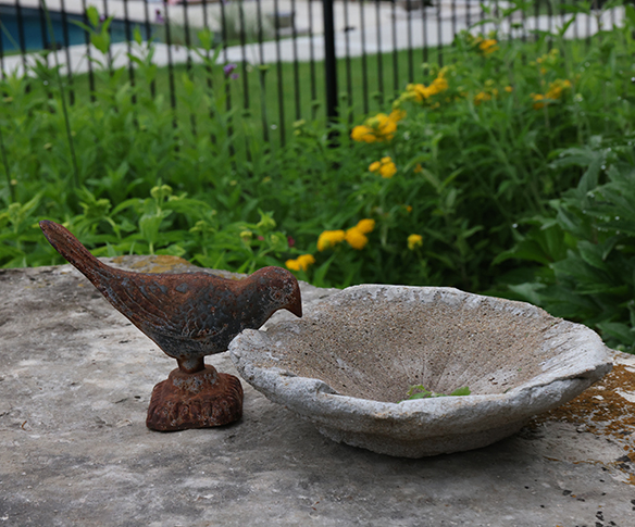 Bird Statue Public Garden Tour 2026