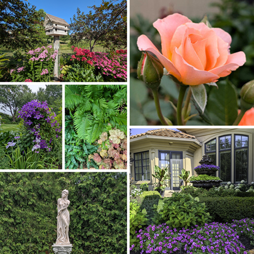 Collage of 2026 gardens for public garden tour 