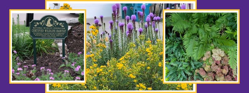 Wyatt Garden PGT 2026