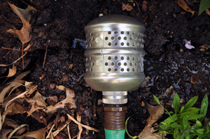 Water bubbler