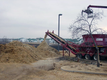 Mulcher chopping wood tree limbs