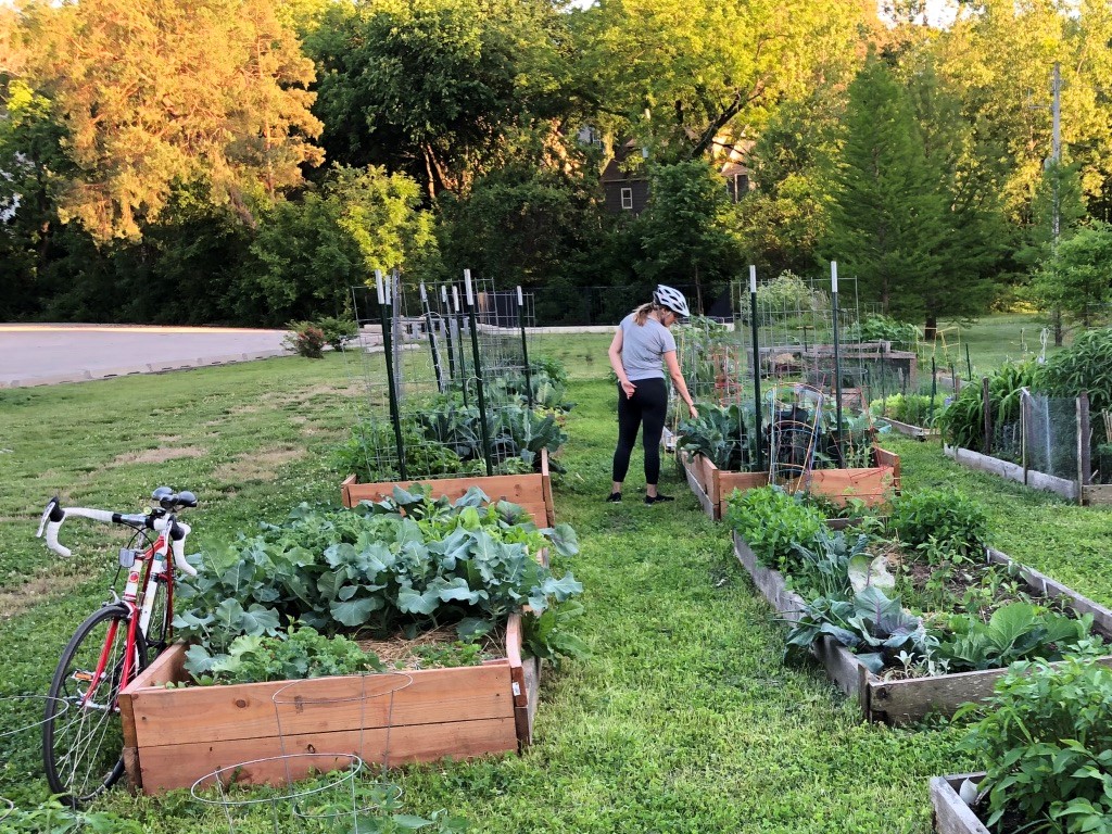 Raised Wooden Garden Beds