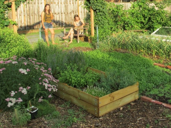 Raised Garden Beds