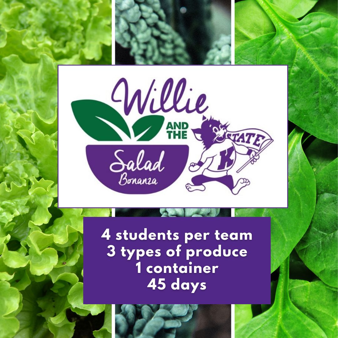 4 students per team. 3 types of produce. 1 container. 45 days.