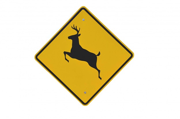 Wildlife warning sign 