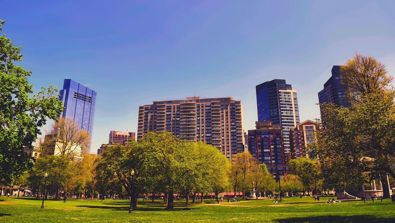 city with green space 