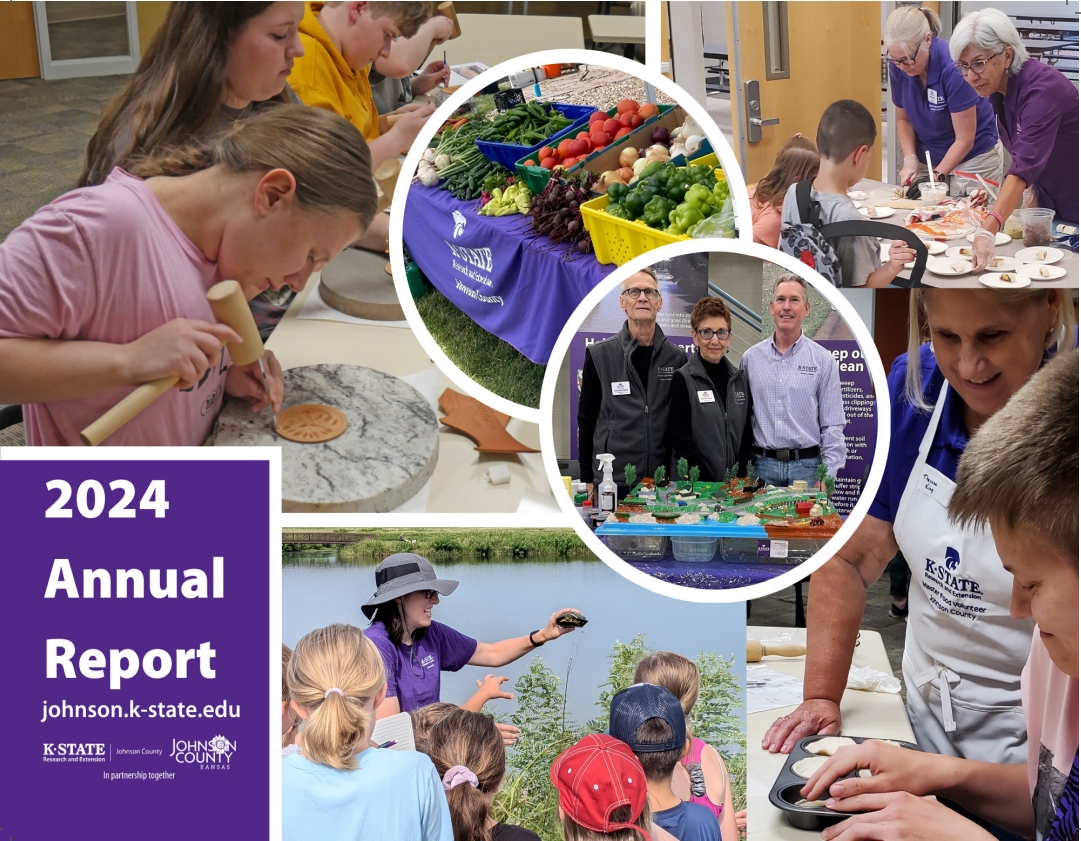 2024 Annual Report Cover Graphic 