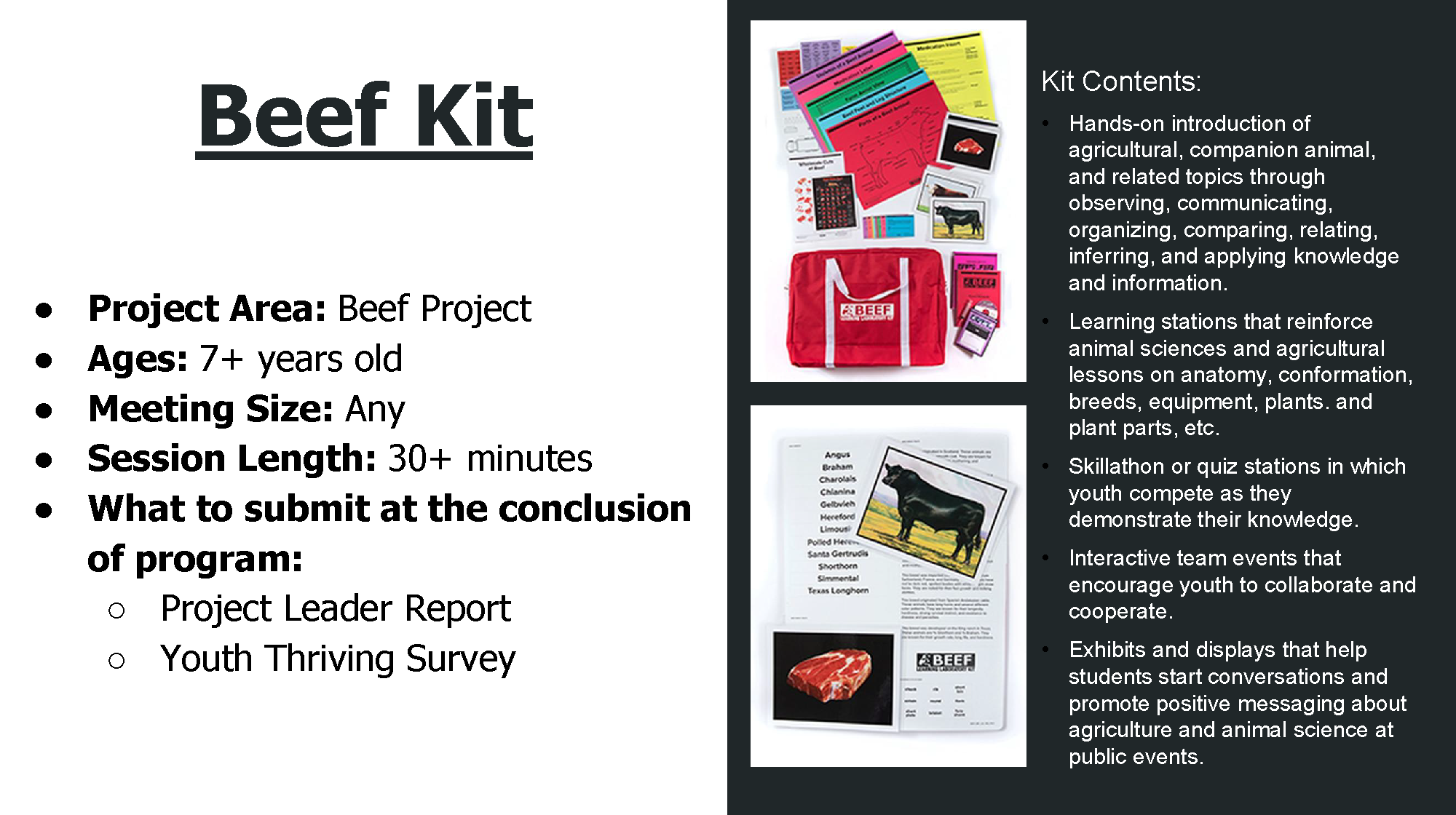 Beef Kit