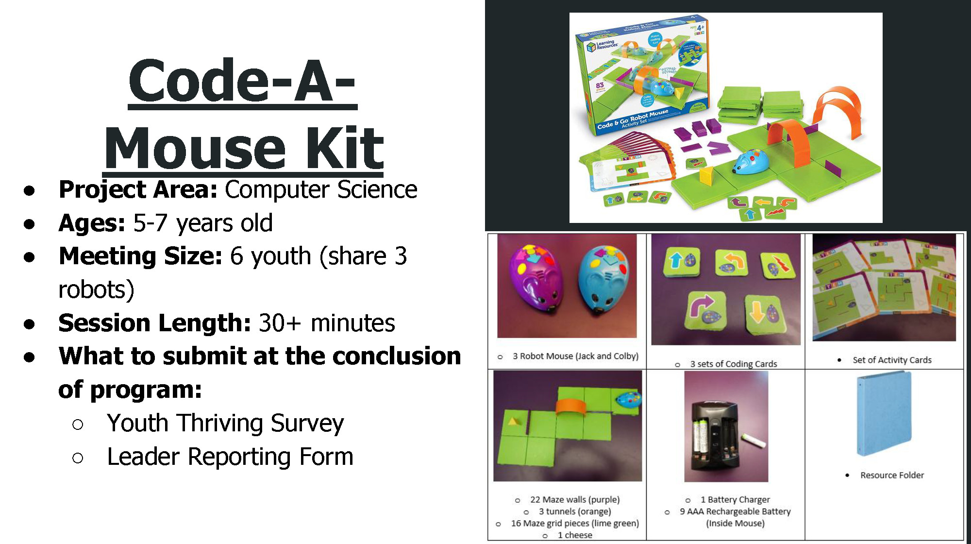 Code-A-Mouse Kit
