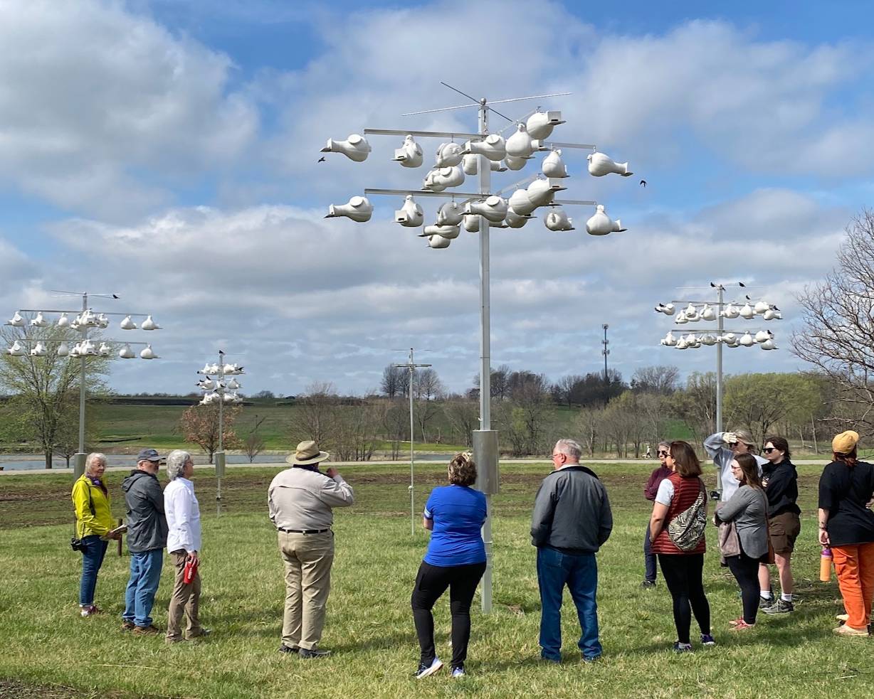 EMNs monitoring Purple Martin nests